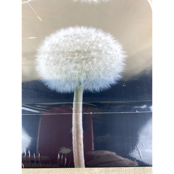 Mosiso Dandelion Hard Case for Macbook Laptop Computer - Picture 3 of 7